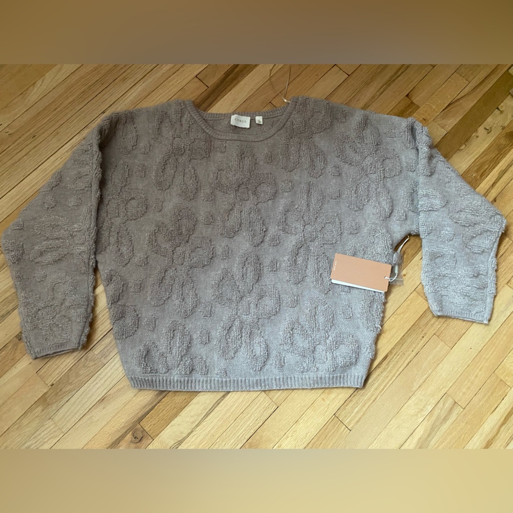 NWT Cyrus NY size small Beige Sweater with slightly raised floral heads